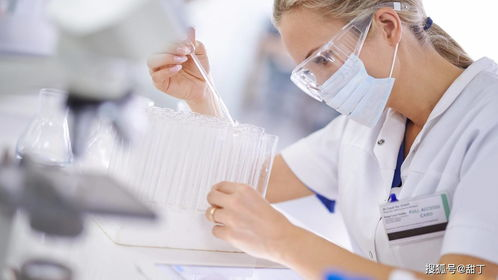 绵阳试管代生代怀全流程揭秘：从胚胎培养到成功分娩的真实经历